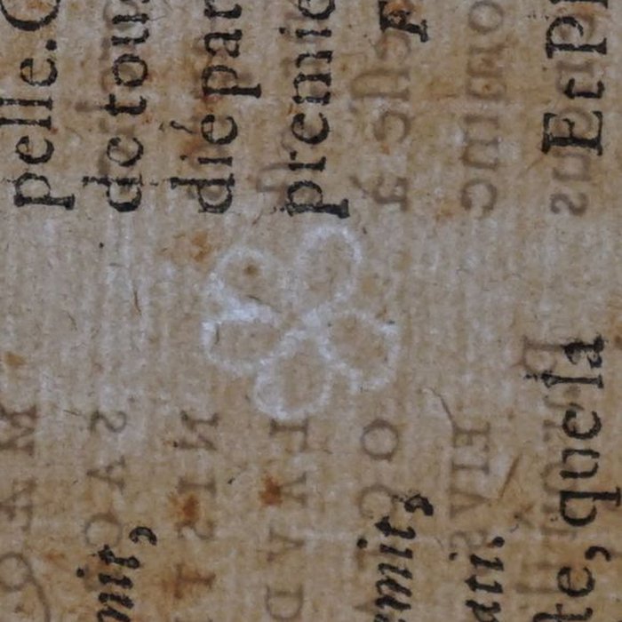 Photo de Musée des beaux-arts de Lyon