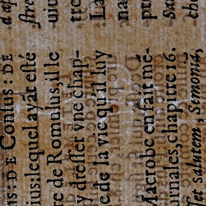 Photo de Musée des beaux-arts de Lyon