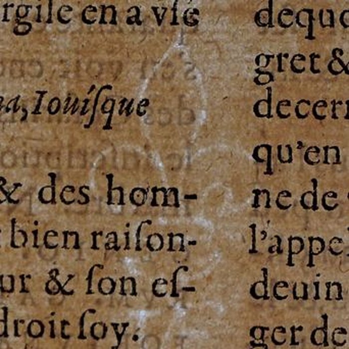 Photo de Musée des beaux-arts de Lyon