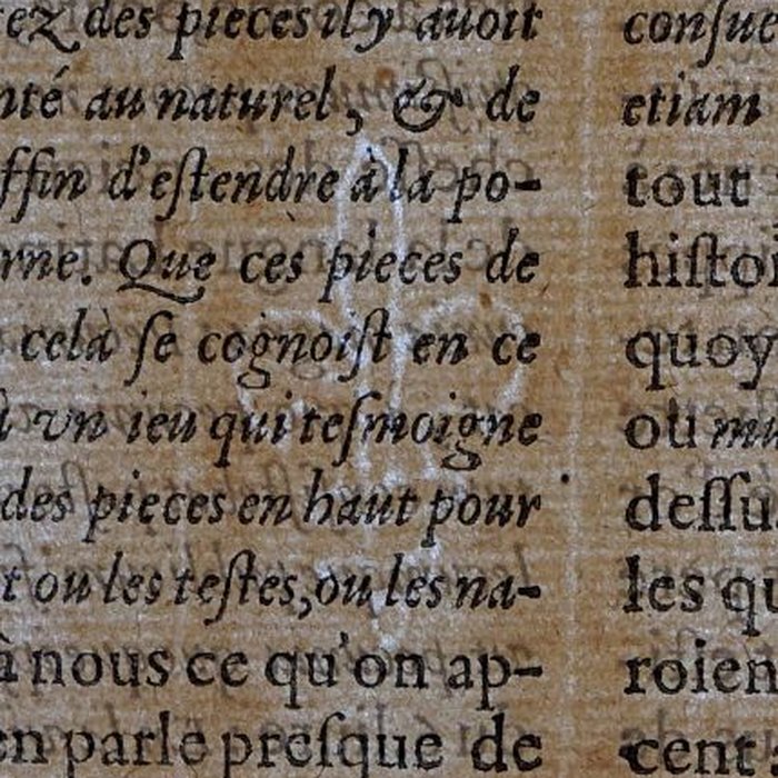 Photo de Musée des beaux-arts de Lyon