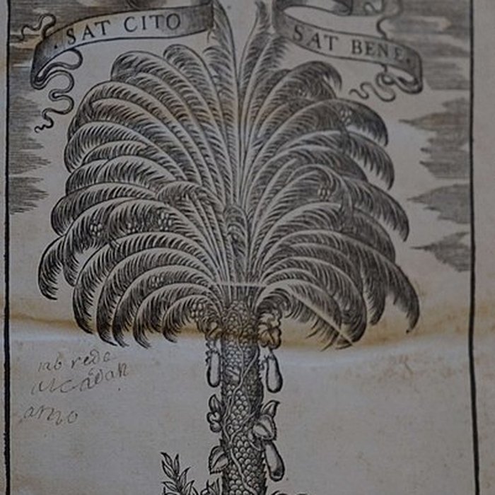 Photo de Musée des beaux-arts de Lyon