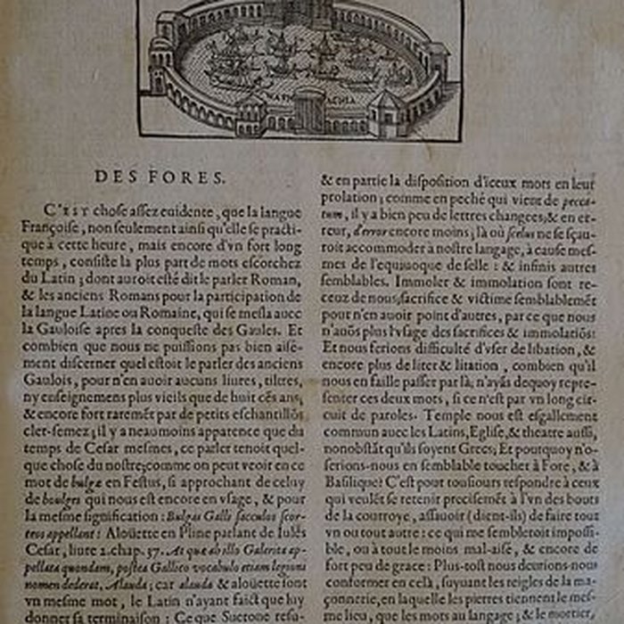 Photo de Musée des beaux-arts de Lyon