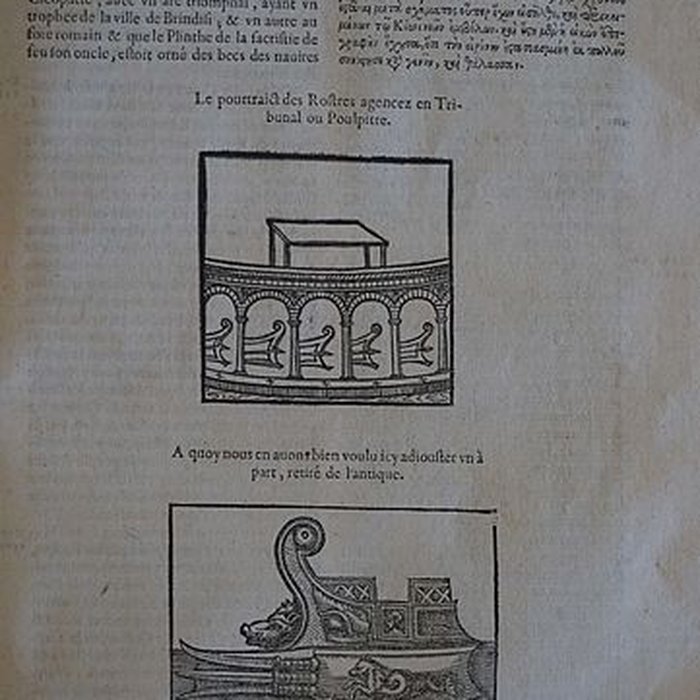 Photo de Musée des beaux-arts de Lyon