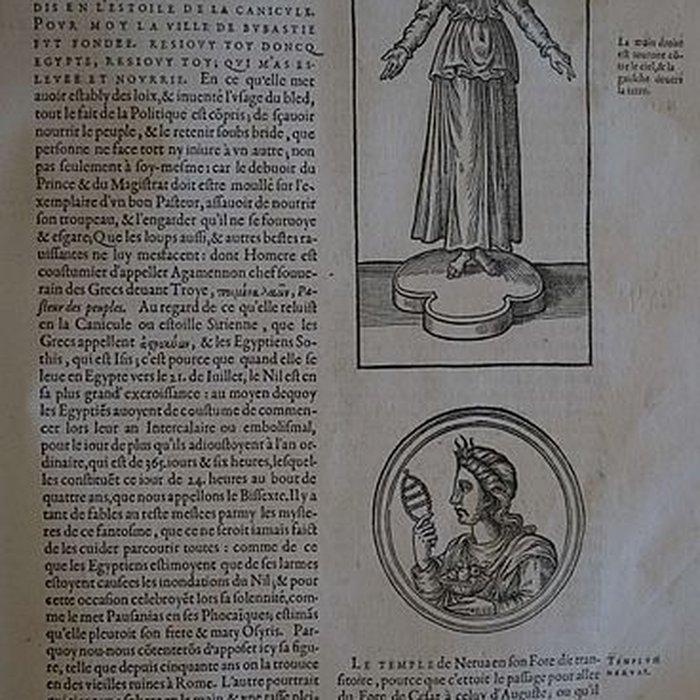 Photo de Musée des beaux-arts de Lyon