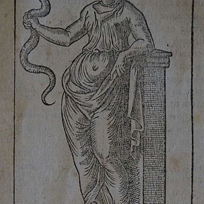 Photo de Musée des beaux-arts de Lyon