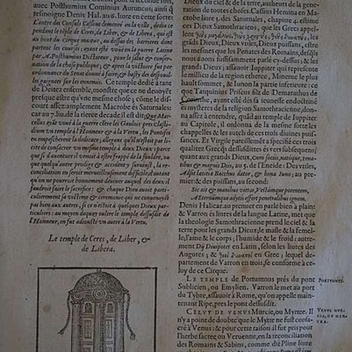 Photo de Musée des beaux-arts de Lyon