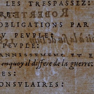 Musée des beaux-arts de Lyon