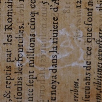 Musée des beaux-arts de Lyon