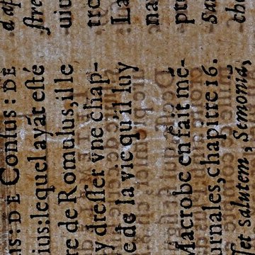 Musée des beaux-arts de Lyon