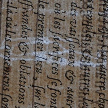 Musée des beaux-arts de Lyon