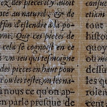 Musée des beaux-arts de Lyon