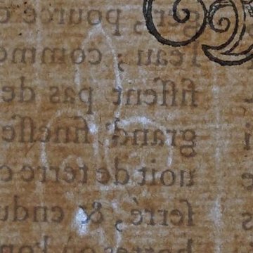 Musée des beaux-arts de Lyon