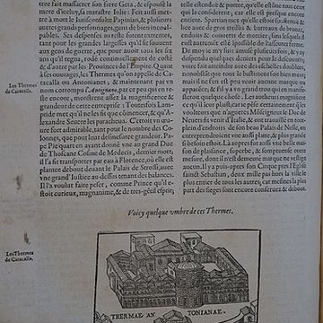 Musée des beaux-arts de Lyon