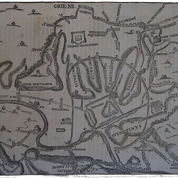 Musée des beaux-arts de Lyon