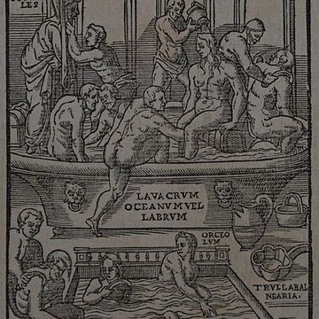 Musée des beaux-arts de Lyon