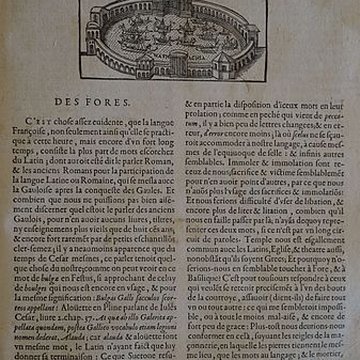 Musée des beaux-arts de Lyon