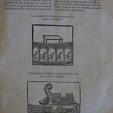 Musée des beaux-arts de Lyon