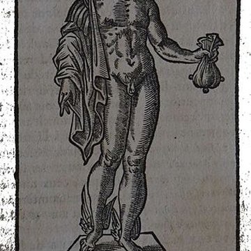 Musée des beaux-arts de Lyon