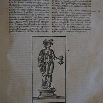 Musée des beaux-arts de Lyon