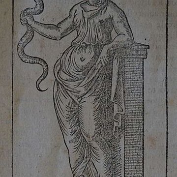 Musée des beaux-arts de Lyon