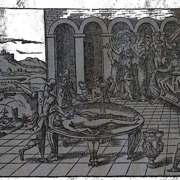 Musée des beaux-arts de Lyon