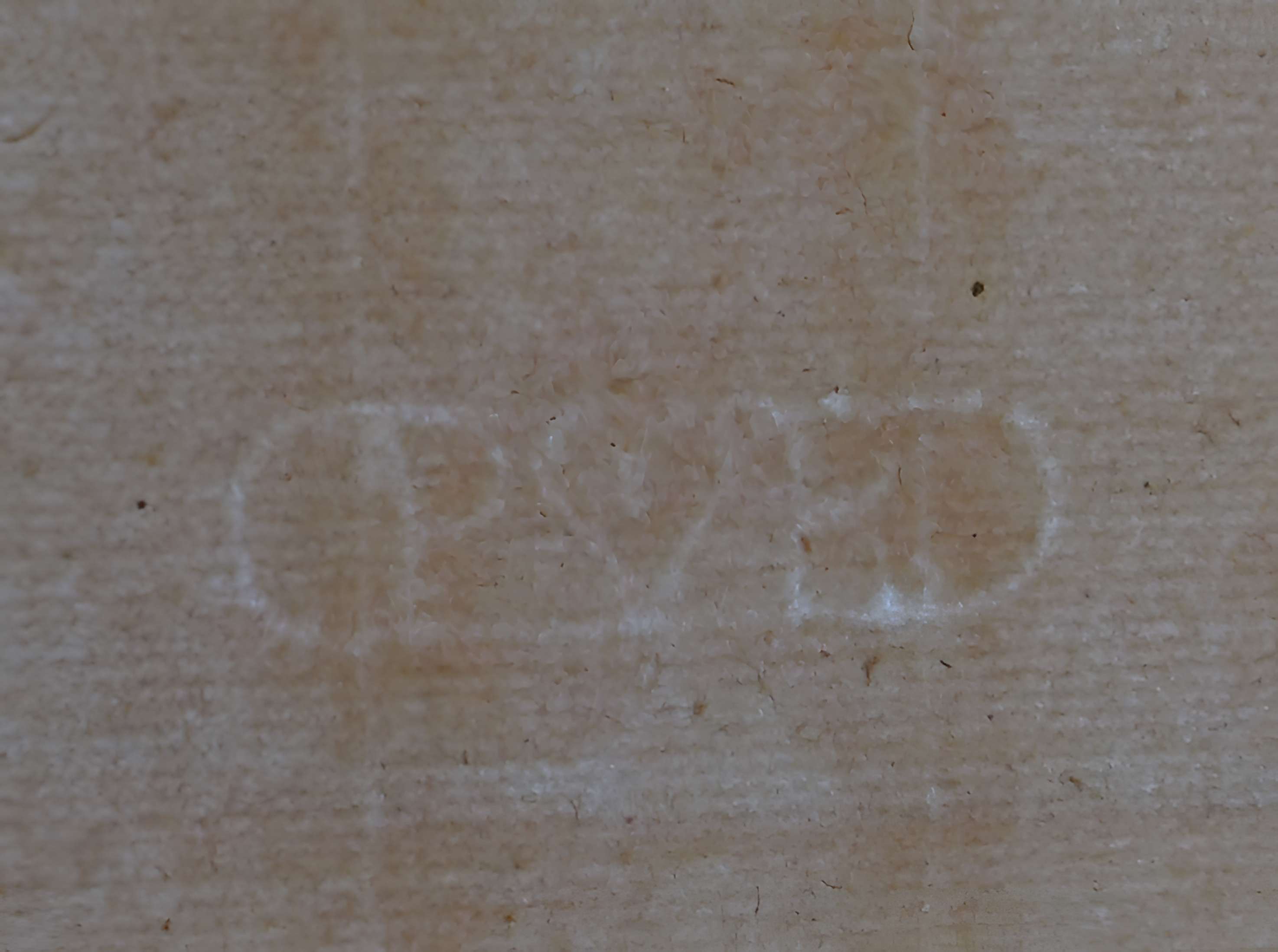 Musée des beaux-arts de Lyon