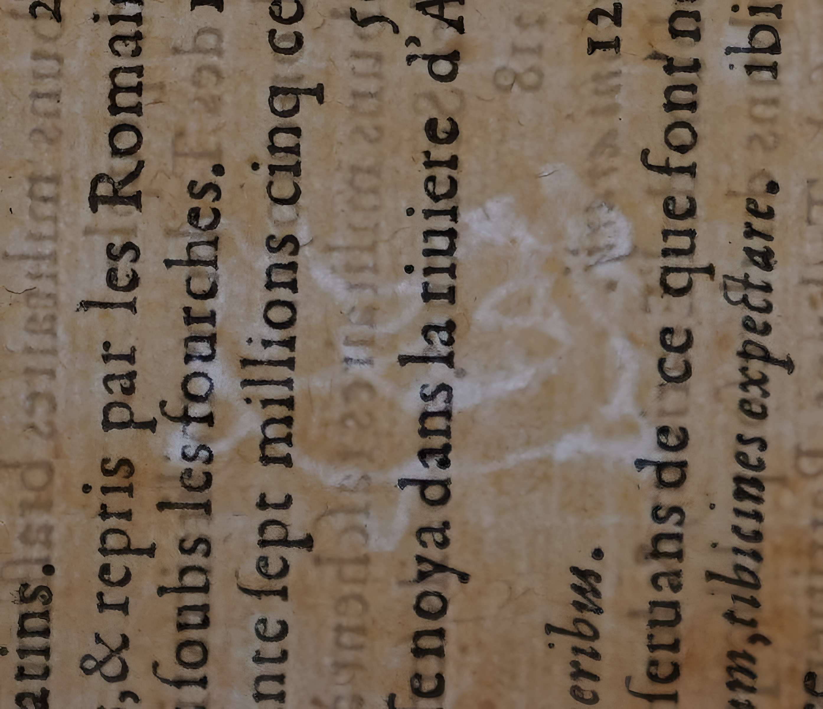 Musée des beaux-arts de Lyon