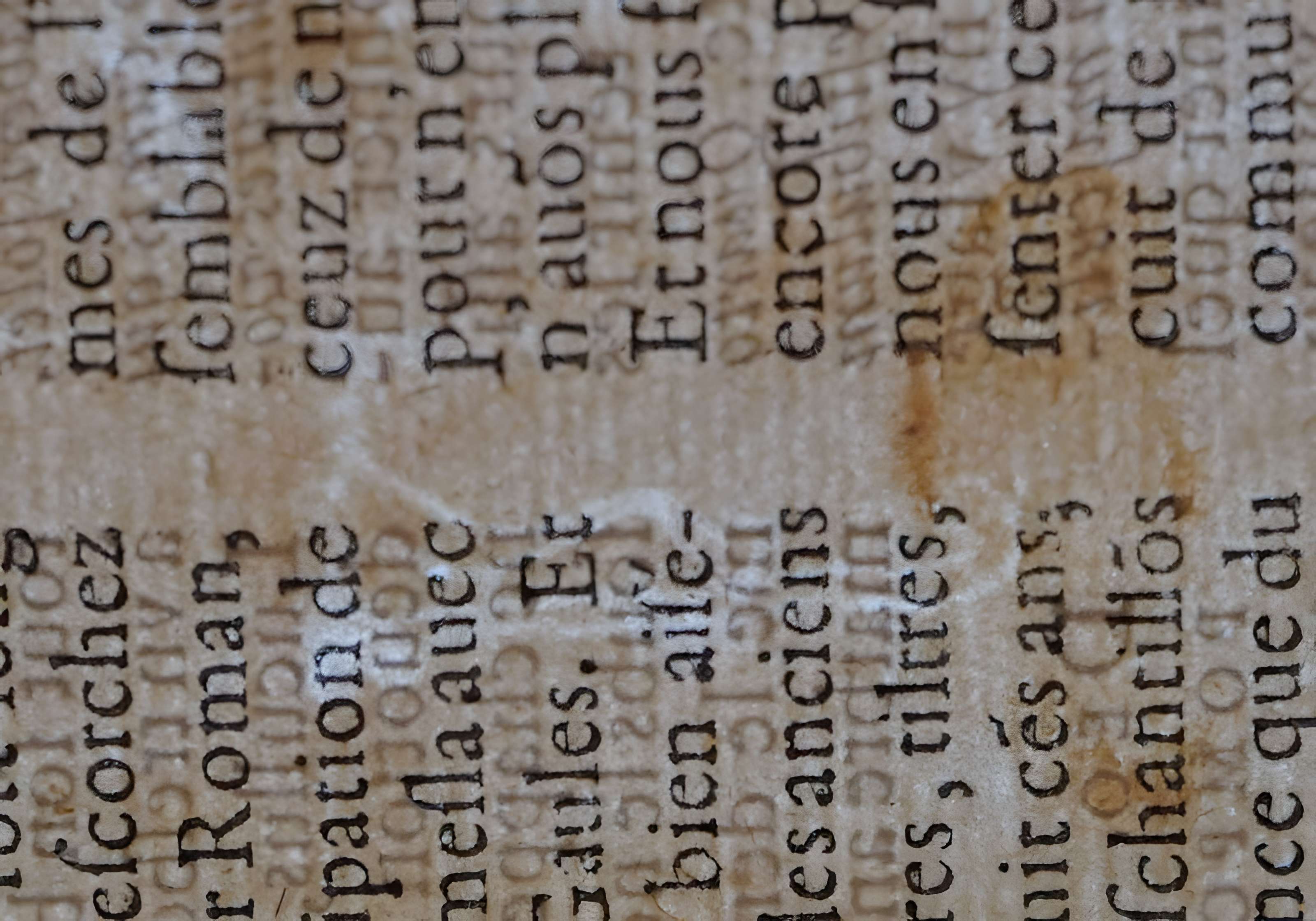 Musée des beaux-arts de Lyon