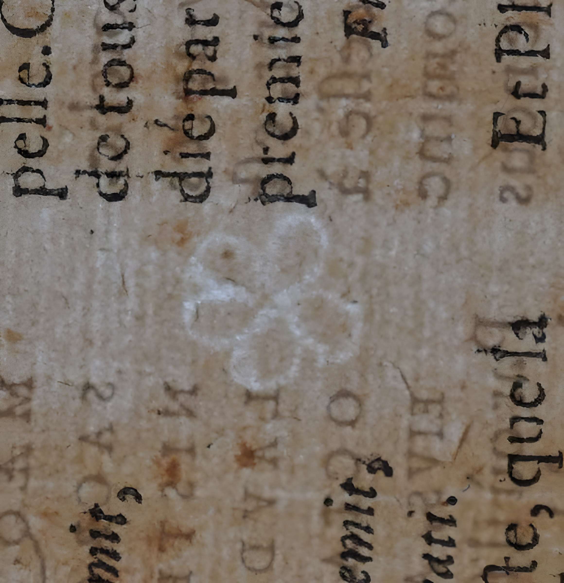 Musée des beaux-arts de Lyon