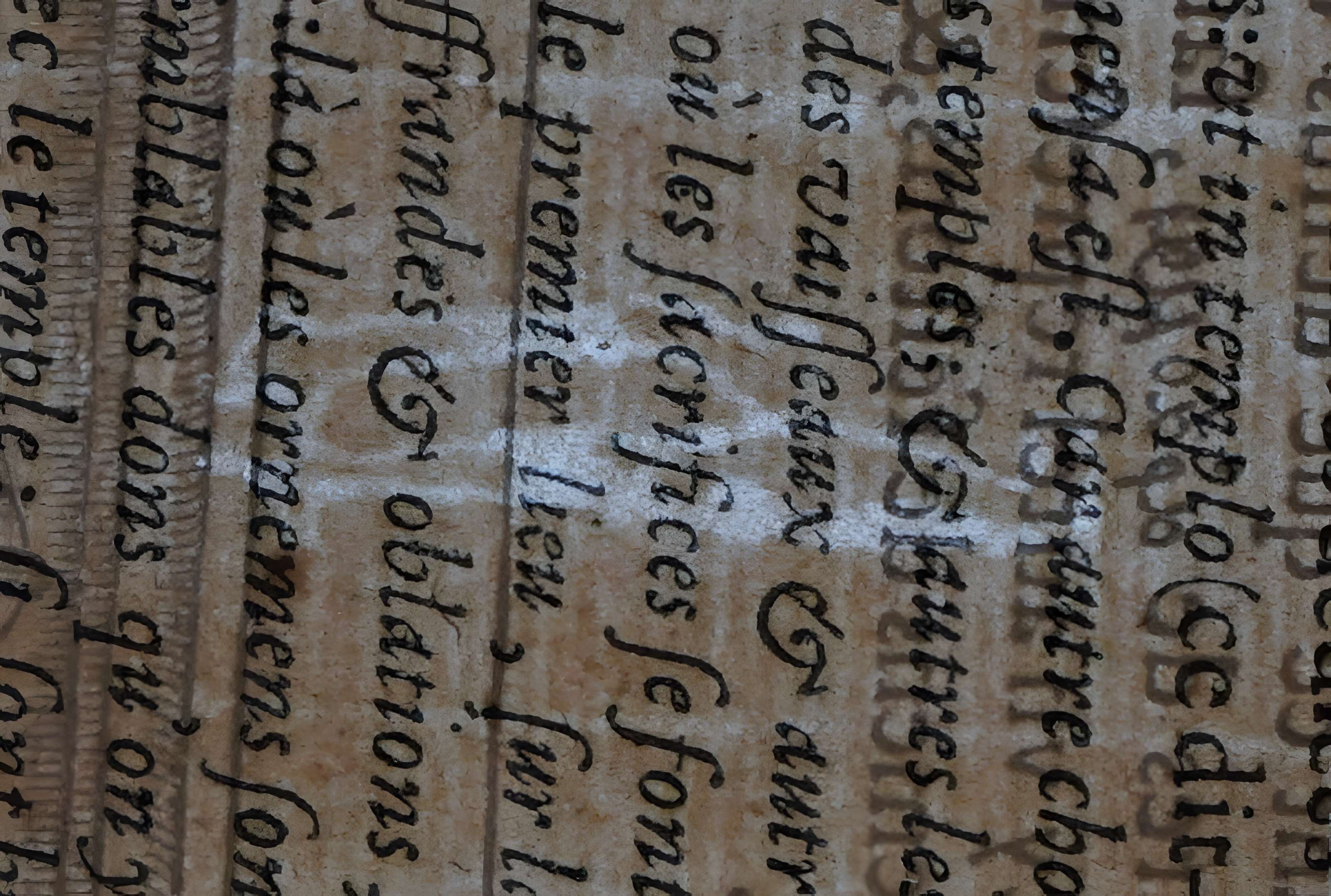 Musée des beaux-arts de Lyon