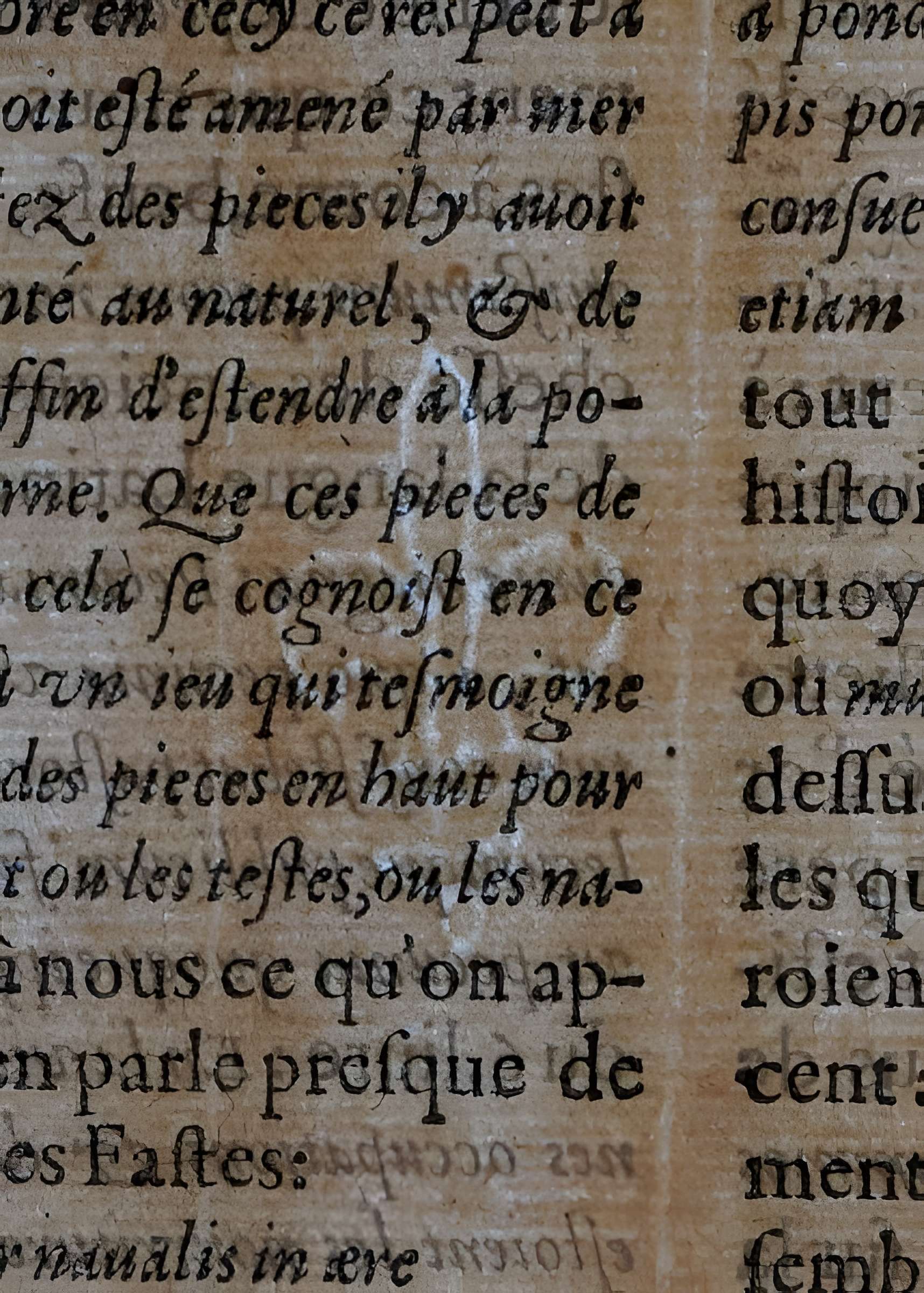 Musée des beaux-arts de Lyon