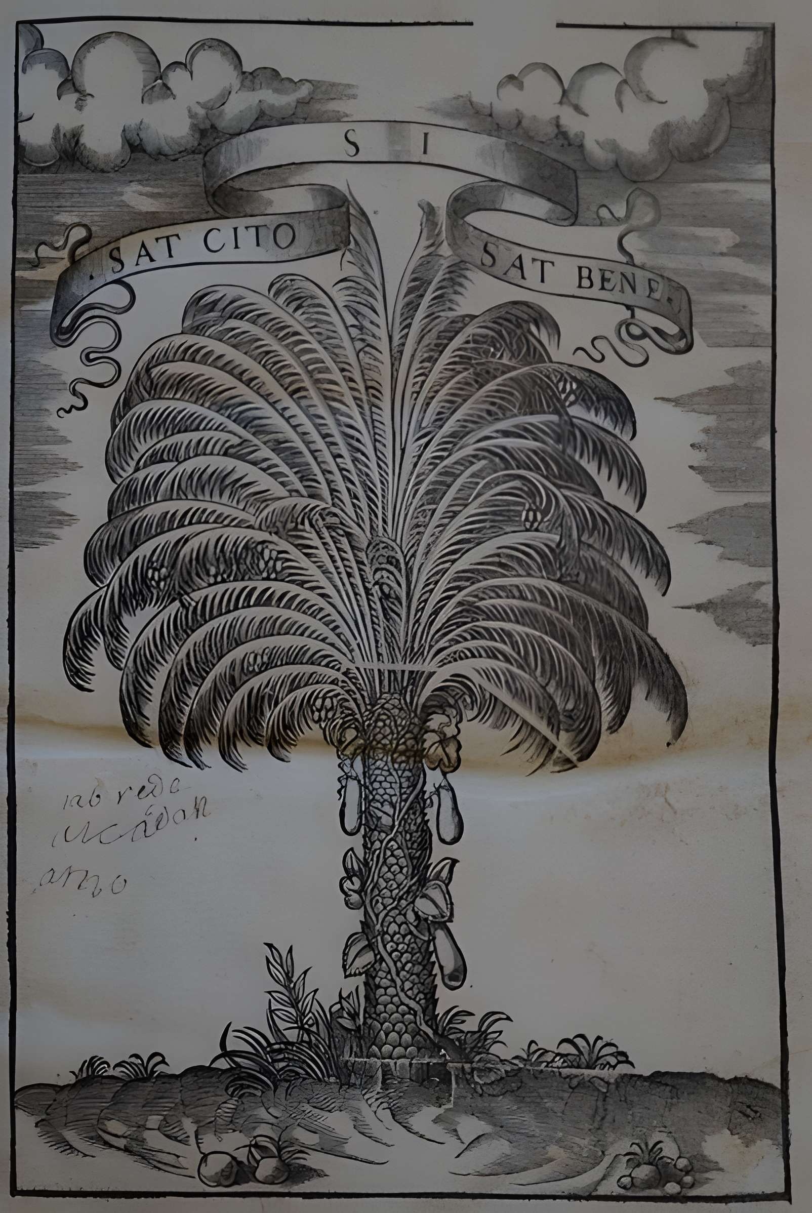 Musée des beaux-arts de Lyon