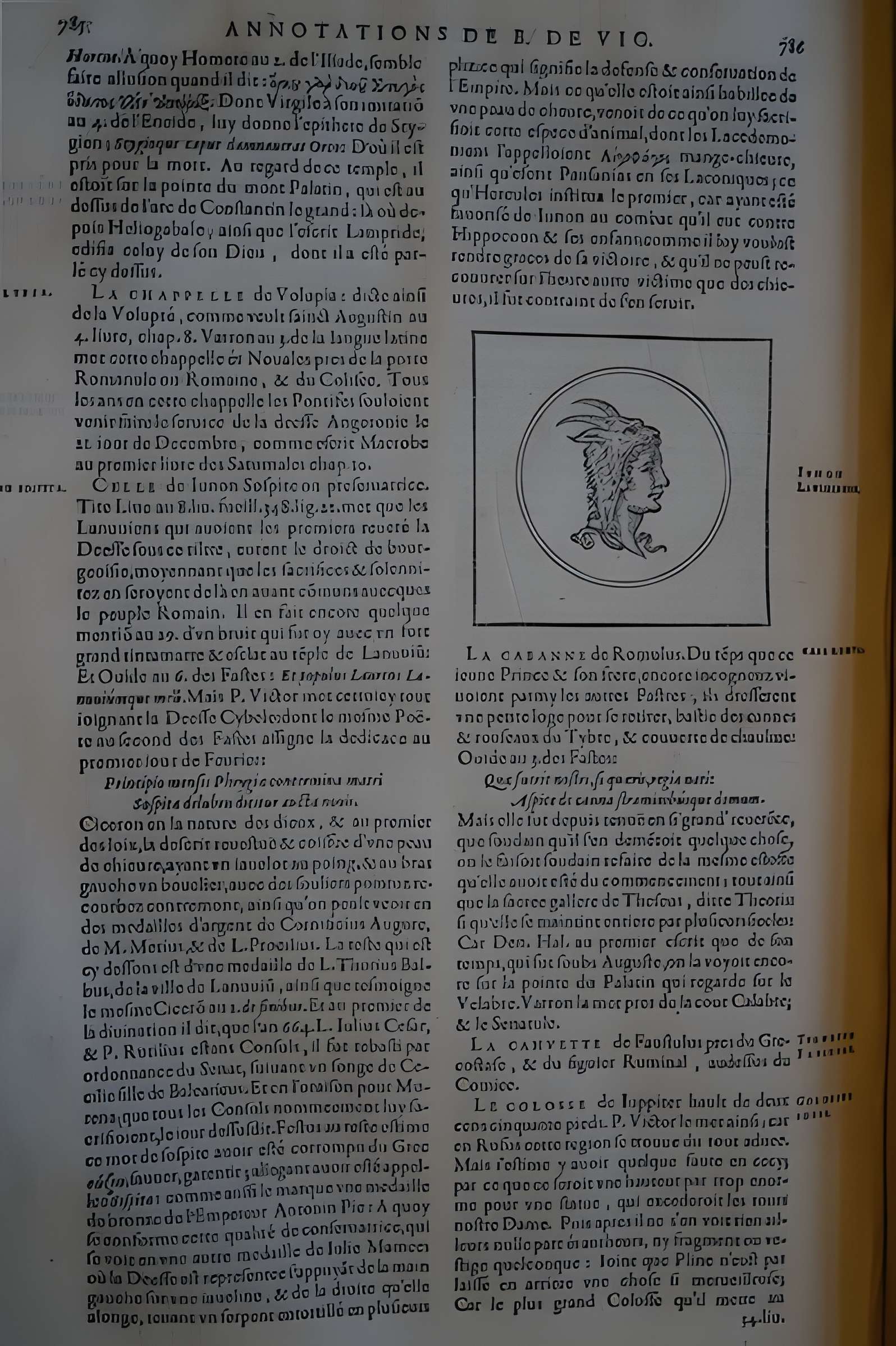 Musée des beaux-arts de Lyon