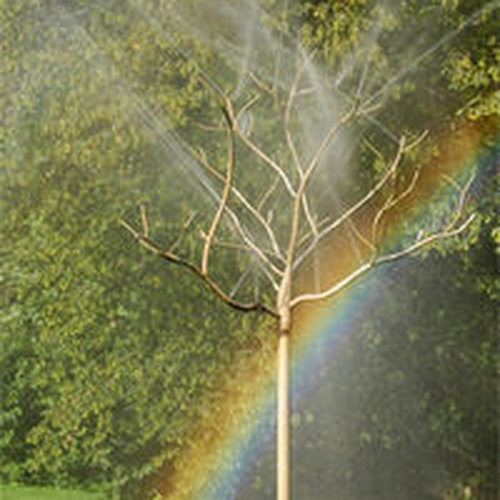 Photo de Château de Vendeuvre