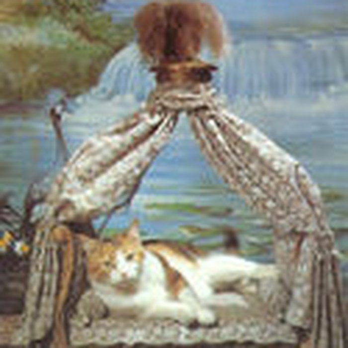 Photo de Château de Vendeuvre