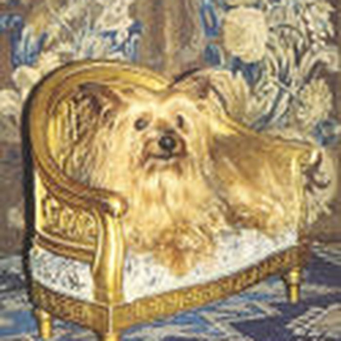 Photo de Château de Vendeuvre