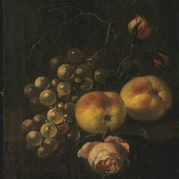 Musée des beaux-arts de Chambéry