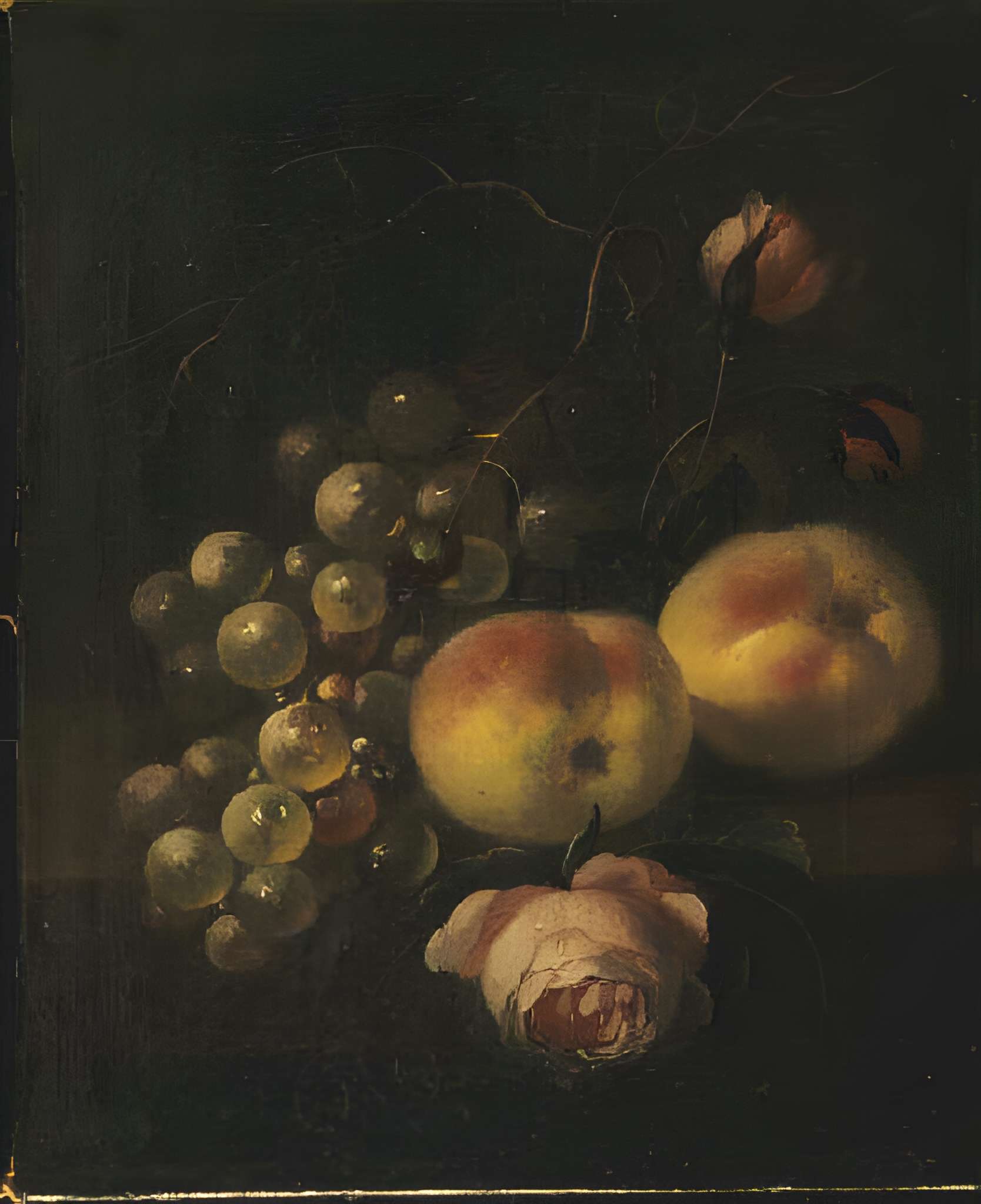 Musée des beaux-arts de Chambéry