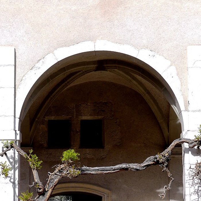 Photo de Musée savoisien de Chambéry