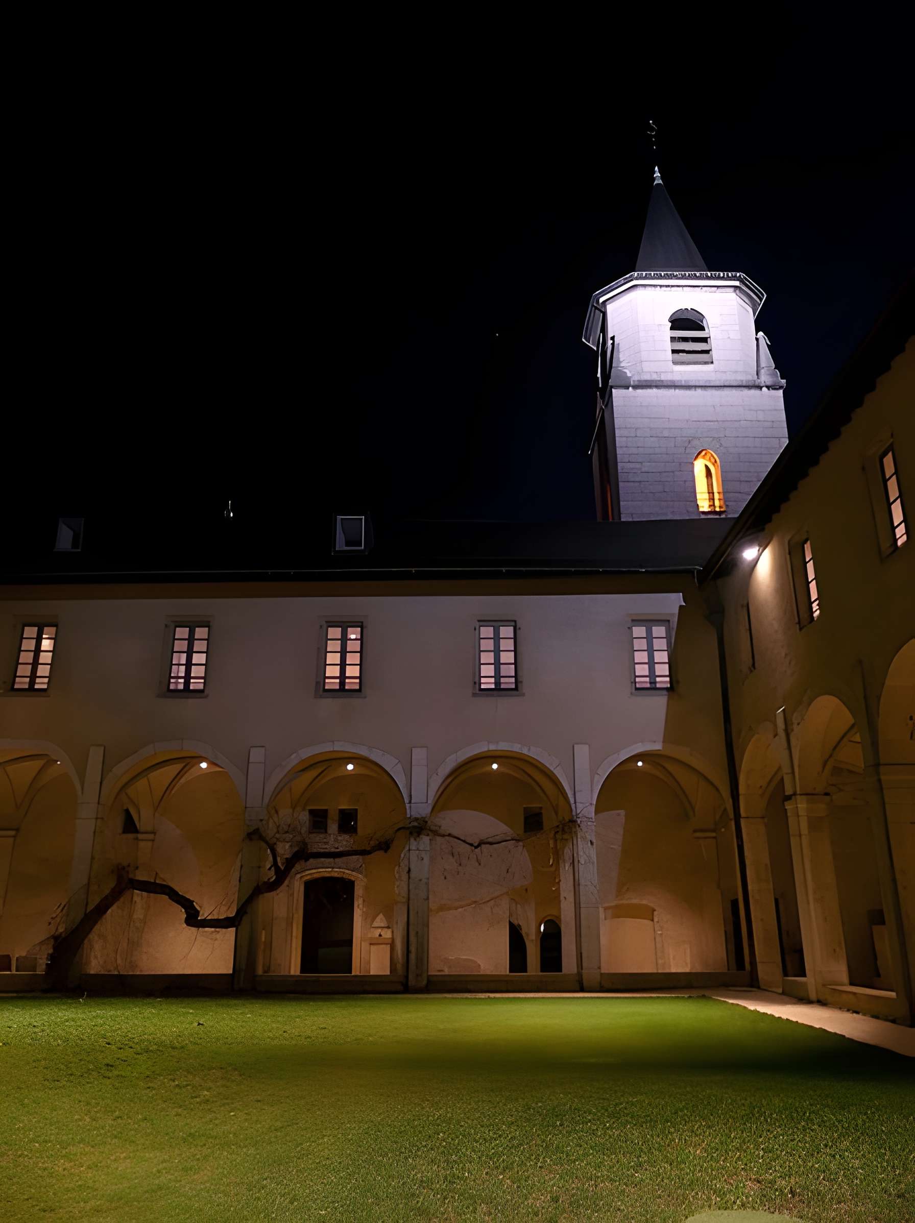 Musée savoisien de Chambéry