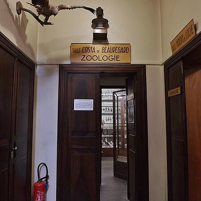 Photo de Muséum dhistoire naturelle de Chambéry