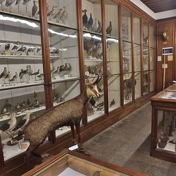 Muséum dhistoire naturelle de Chambéry