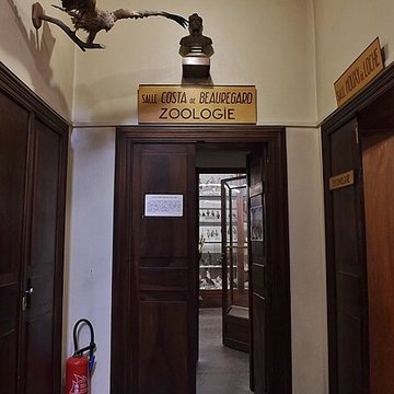 Muséum dhistoire naturelle de Chambéry