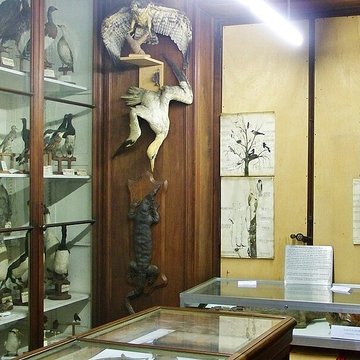 Muséum dhistoire naturelle de Chambéry