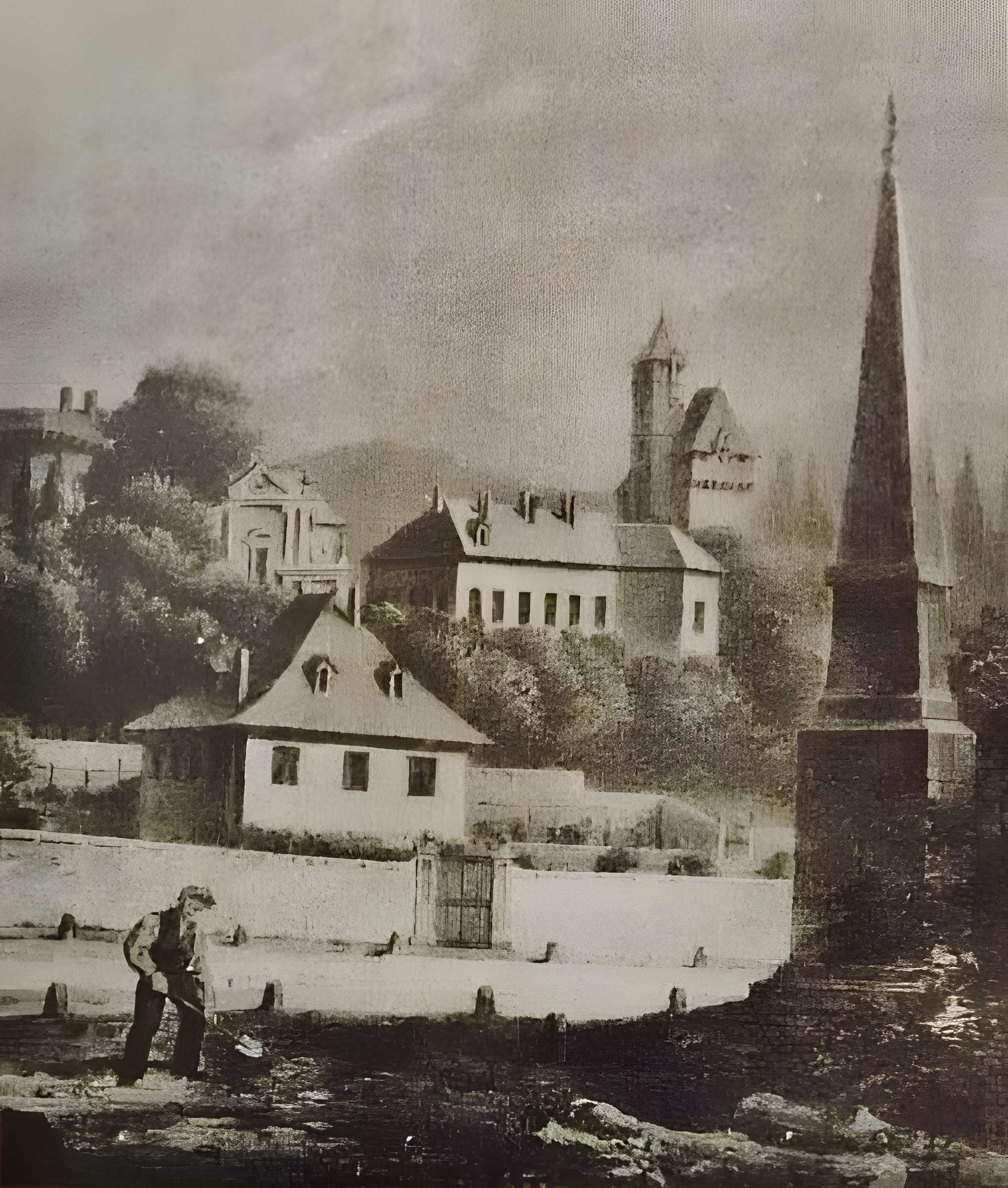 Muséum d'histoire naturelle de Chambéry