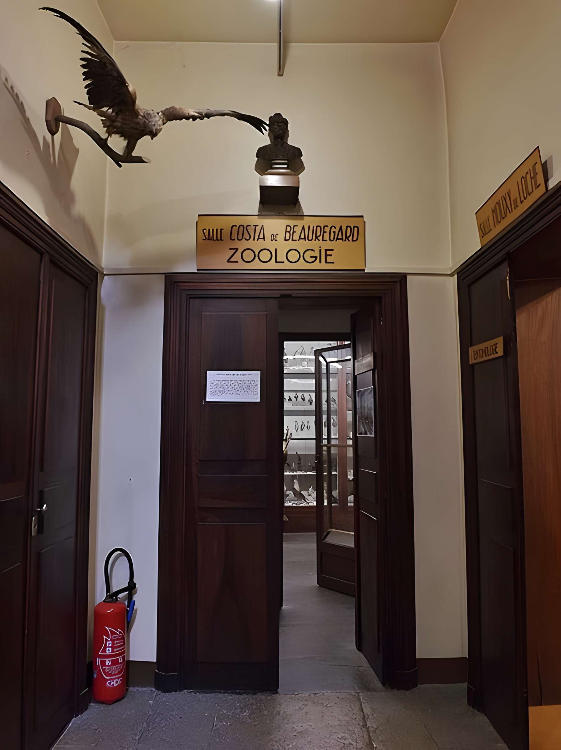 Muséum d'histoire naturelle de Chambéry