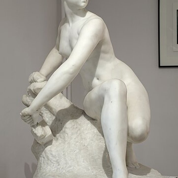 Photo de Musée Faure à Aix-les-Bains