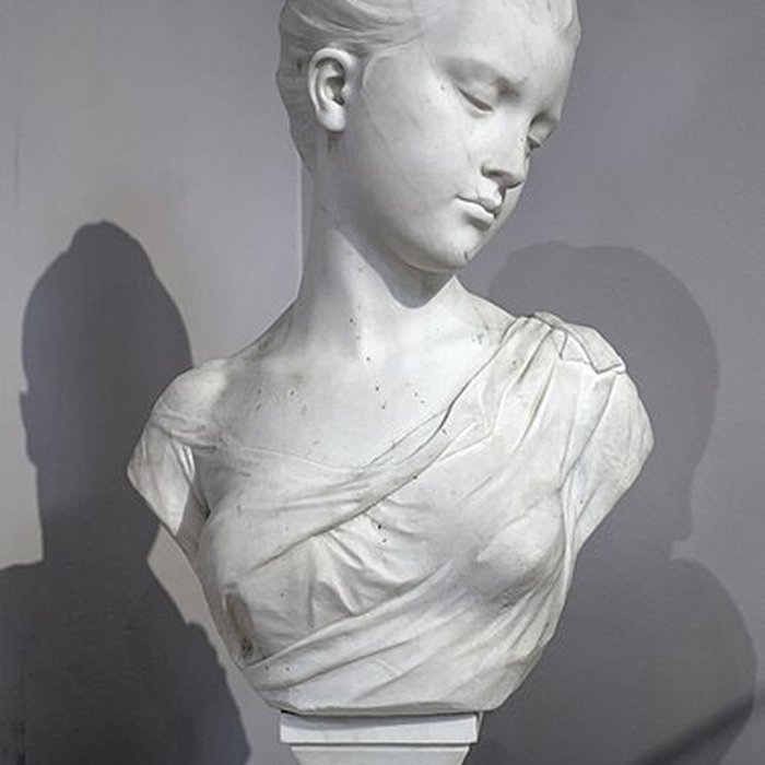 Photo de Musée Faure à Aix-les-Bains