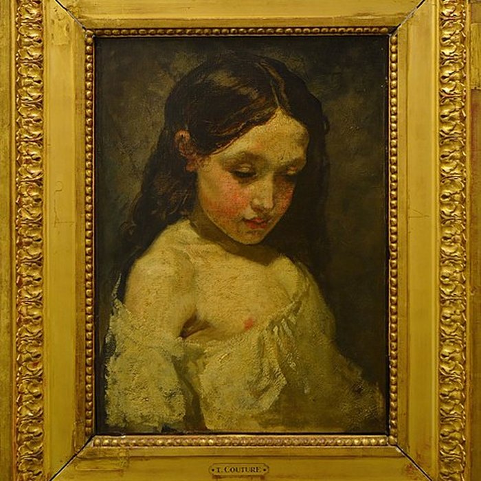 Photo de Musée Faure à Aix-les-Bains