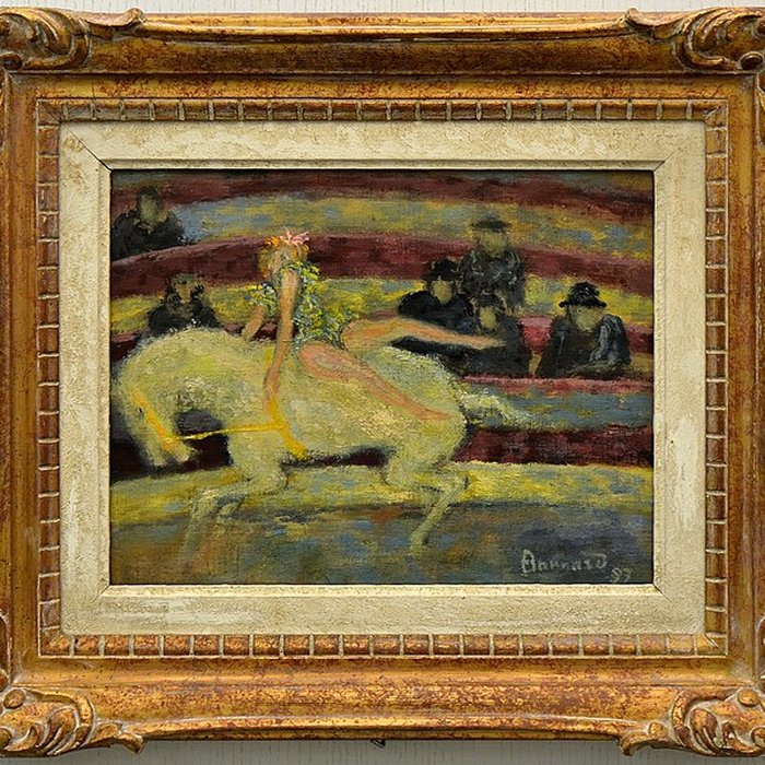 Photo de Musée Faure à Aix-les-Bains